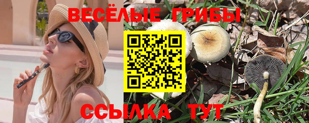 Галлюциногенные грибы Psilocybe  Псилоцибиновые грибы мухоморы  Вход с VPN  даркнет сайт  Раменское 